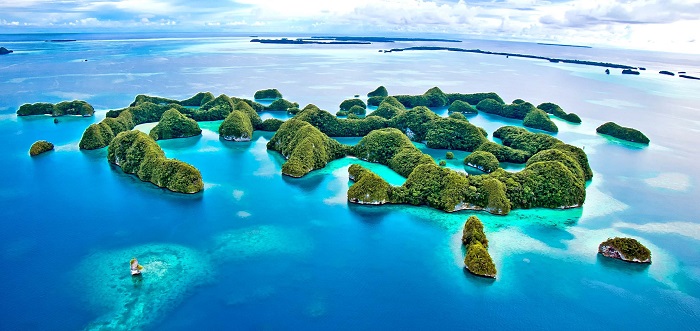 馬紹爾公司的年審相關費用？年審的內容是什么？