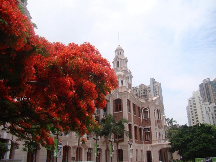 分享香港留學各專業申請秘籍，您知道嗎？