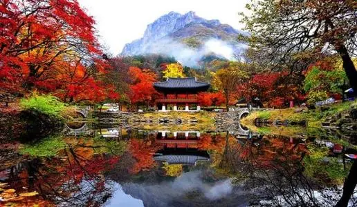 詳述注冊韓國公司都需要什么資料？