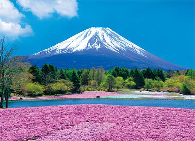 詳細介紹日本注冊公司有什么要求？