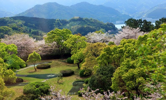 詳細(xì)介紹日本注冊公司需要什么資料？