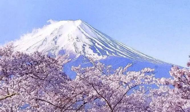 日本公司注冊有哪些要求？